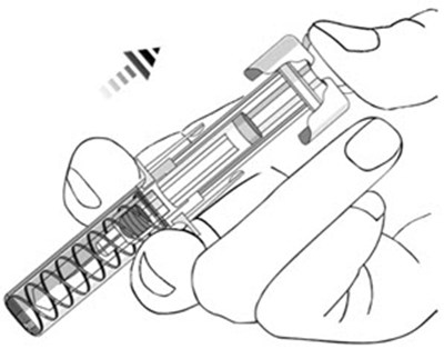 Image (Stelara 03)