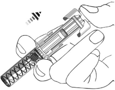 Figure H (Stelara 12)