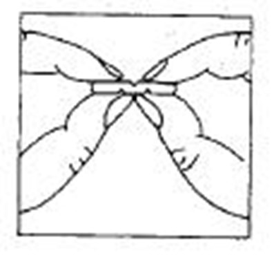 Figure2 (Figure2)