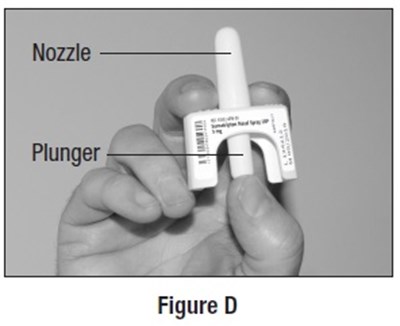 Figure-d.jpg (Figure D)