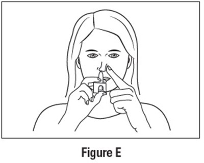 Figure-e.jpg (Figure E)