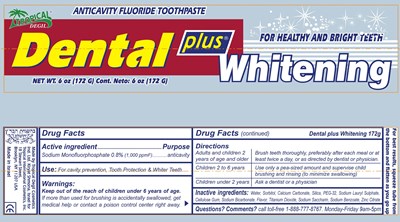 Whitening172g_Tube.jpg Principal Display Panel - 6 oz Tube - Whitening172g Tube