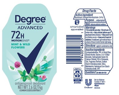 Degree Mint Wild Flowers Ap Deo Is (Degreemintwildflowersapdeois)