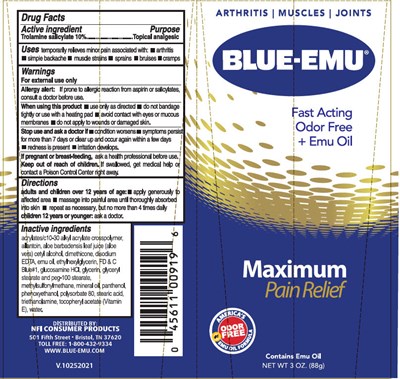 blue-emu-01.jpg PRINCIPAL DISPLAY PANEL - 88 g Tube Label - blue emu 01