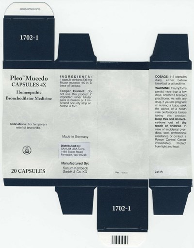 Principal Display Panel (20 Capsules Carton)