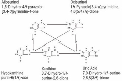 40f39058-bfff-4d16-b448-9bbf1c3ebeb0-04.jpg Image of Allopurinol, Oxipurinol, Hypoxanthine, Xanthine, and Uric Acid formulas. - 40f39058 bfff 4d16 b448 9bbf1c3ebeb0 04