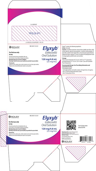 Principal Display Panel – 4.8 mL Carton Label (Ely00 0000 12)