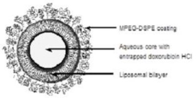 Representation Of A Pegylated Liposome (Dox0e 0000 04)