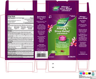 LHBN12194_A01_Allergy_SinusRelief_Umcka_20ct_FNL.jpg LHBN12194_A01_Allergy_SinusRelief_Umcka_20ct_FNL.jpg - LHBN12194 A01 Allergy SinusRelief Umcka 20ct FNL