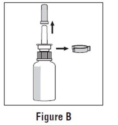 FigureB.jpg - FigureB
