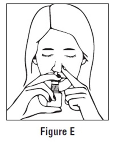 FigureE.jpg - FigureE