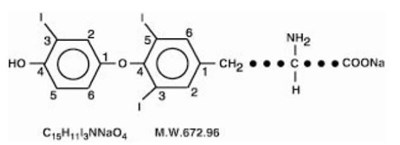 2601cfbd-3141-4300-afb4-5237495e86ed-01.jpg Image - 2601cfbd 3141 4300 afb4 5237495e86ed 01