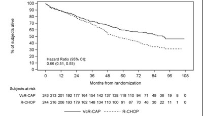 Figure 6 - bortezomib 07