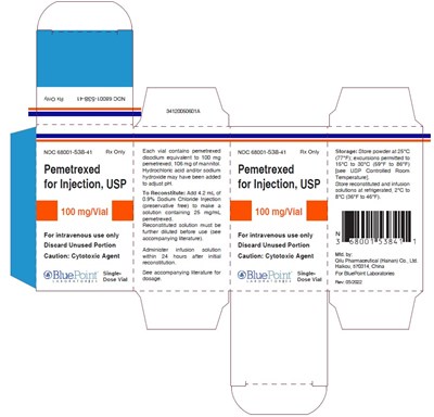 Package Carton- Pemetrexed For Injection 100 mg Single-dose Vial (Pemetrexed 12)