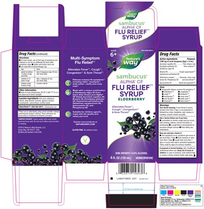 Lhbn15803_a01_sambucus_flurelief_4oz_ctn_fnl.jpg (Lhbn15803 A01 Sambucus Flurelief 4oz Ctn Fnl)