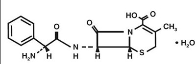 Chemical Structure (Cephalexin Caps 1)