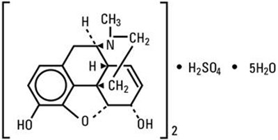 morphine-01.jpg Chemical Structure - morphine 01