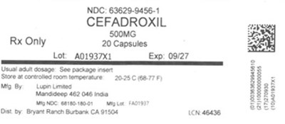 Label (Lbl636299456)
