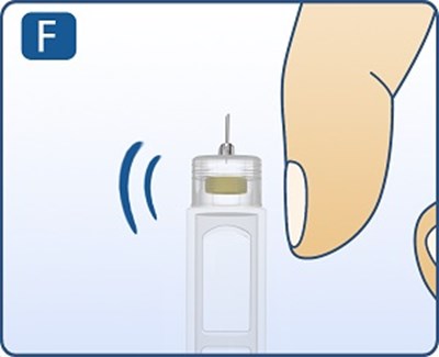 Fig. F (Image 06)