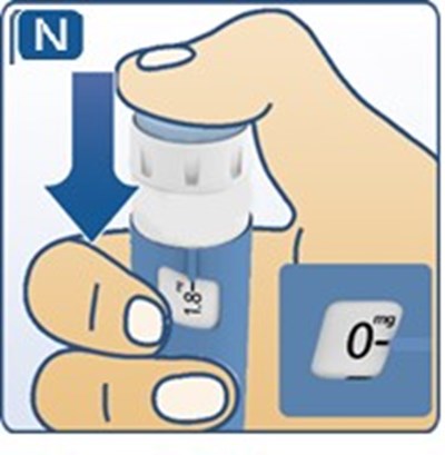 Fig. N (Image 13)