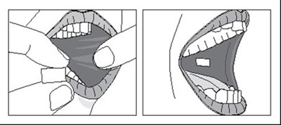 figure4.jpg - figure4