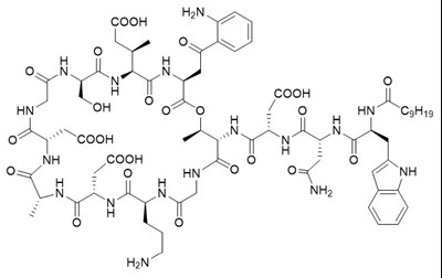 image-01.jpg Daptomycin Structural Formula - image 01