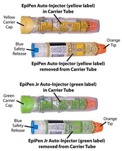0822d6dd-5141-4e46-bec0-621ef0162ccb-02.jpg EpiPen and EpiPen Jr - 0822d6dd 5141 4e46 bec0 621ef0162ccb 02