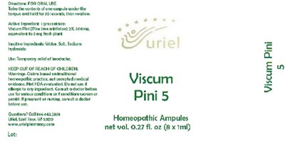 Viscumpini5ampules