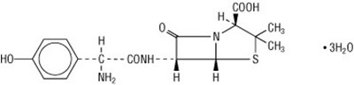 Amoxicillin Chemical Structure (Amoxicillin 125 mg And 5 mL Suspension  For West W 1)