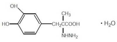 Image - 6b28e688 d2b4 4e47 b267 78312720f612 01