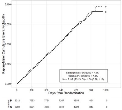 Figure 2: Cumulative Percent Of Time To First Mace (Image 04)
