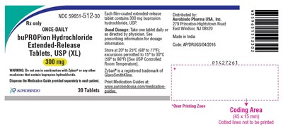 Package Label-principal Display Panel (300 mg (30 Tablets Bottle))