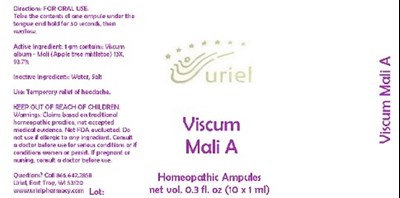 Viscummaliaampules