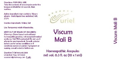 Viscummalibampules