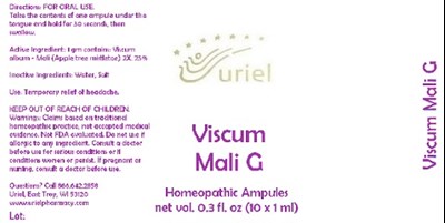Viscummaligampules
