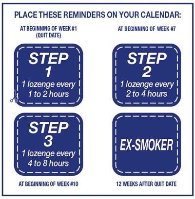 Calendar-reminder-leaflet-image-two.jpg (Image 01)