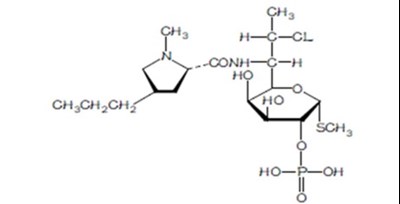 Clindamycin-structure.jpg (Clindamycin Structure)