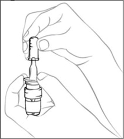 Figure 1 (Spr00 0007 03)