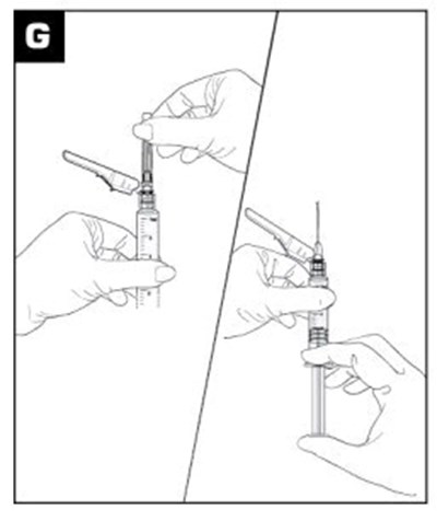 Figure G (Viv03 0035 07)