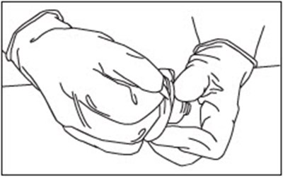 Figure 5 (Zilretta 07)