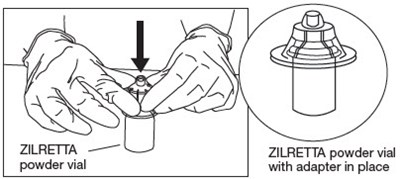 Figure 6 (Zilretta 08)