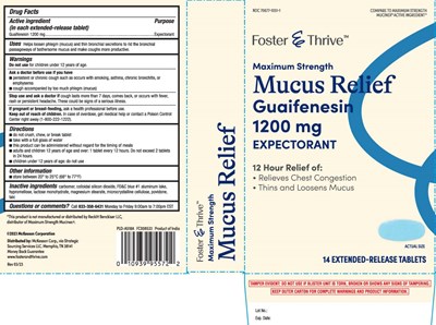 Guaifenesin 1200 mg (Mucus Relief 1200 mg Extended Release Caplet Aml 1)