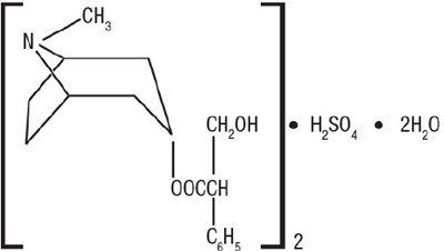 Chemical Structure - hyoscyamine 01