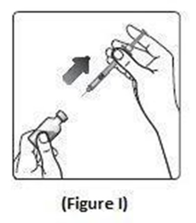 Figure I (70e689b2 1ad1 4632 B851 B38b7ee6e14f 14)