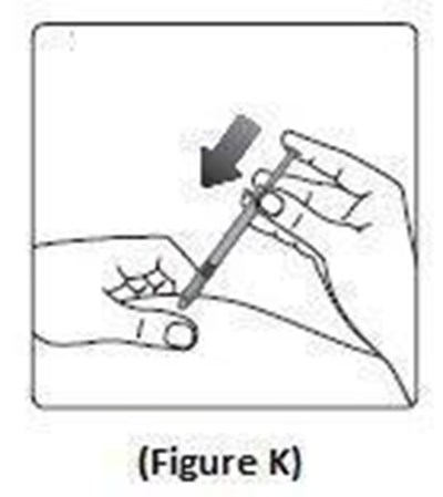 Figure K (70e689b2 1ad1 4632 B851 B38b7ee6e14f 16)