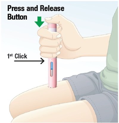 1 (Brekiya   Dihydroergotamine Mesylate Injection 15)