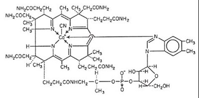 Structure (5336e173 Ea91 4afb Bda0 6bf7cce2b5a4 01)