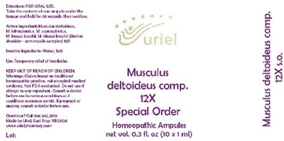 Musculusdeltoideuscomp12soampules