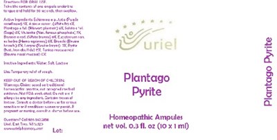 Plantagopyriteampules