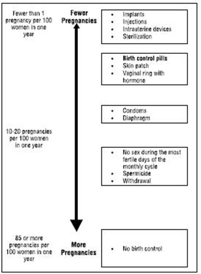 43a1e121-f1eb-494d-86e3-5d6087fc6c64-04.jpg image 2 - 43a1e121 f1eb 494d 86e3 5d6087fc6c64 04